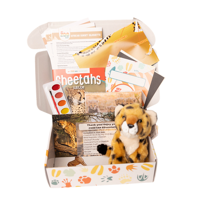 Cheetah EDventure