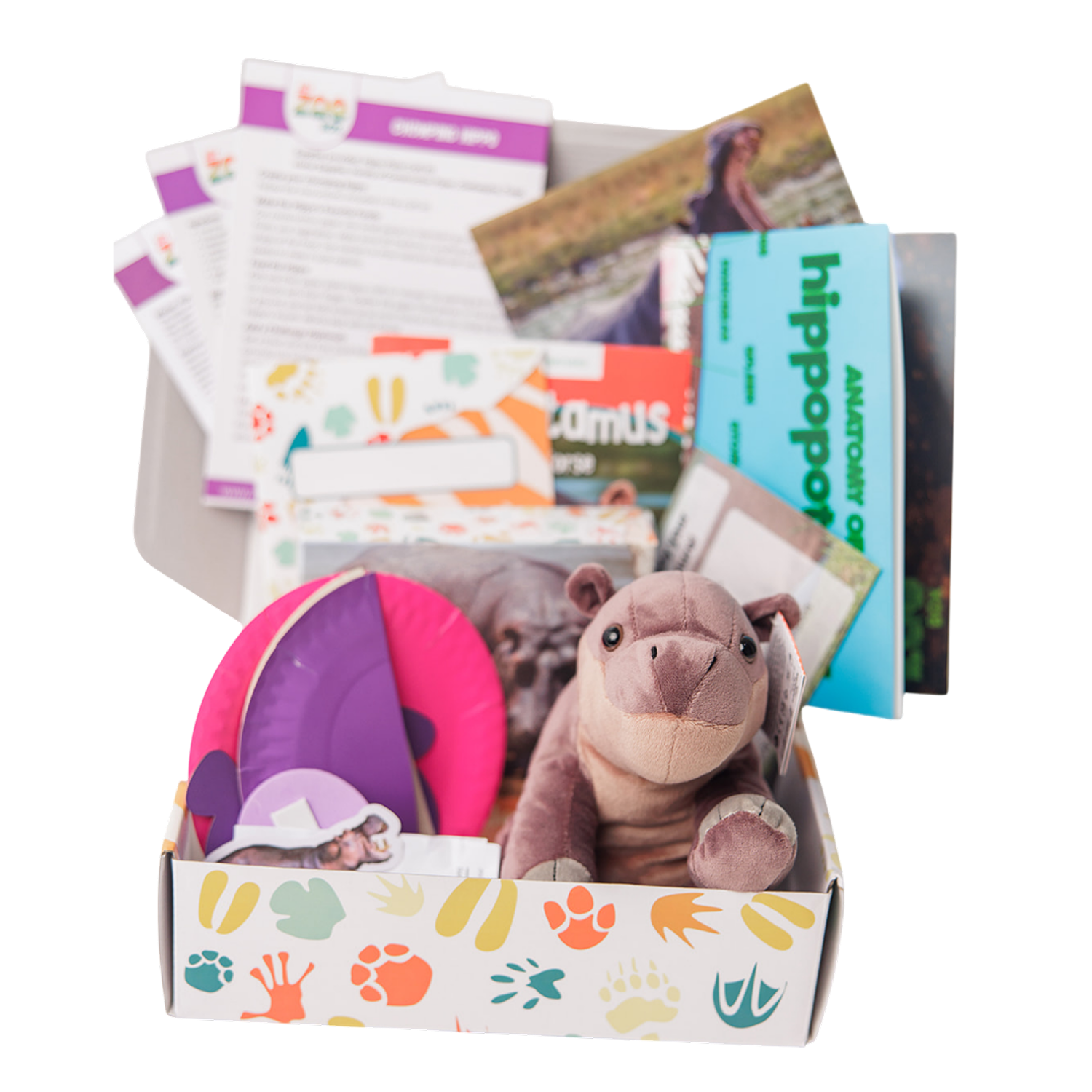Hippopotamus EDventure – My ZOO Box