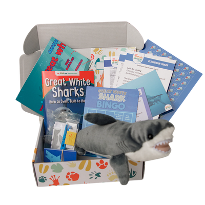 Great White Shark EDventure