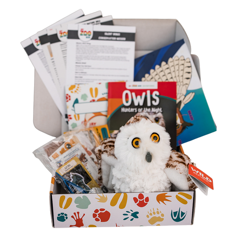 Owl EDventure
