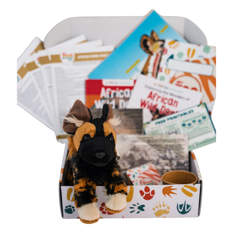 African Wild Dog EDventure