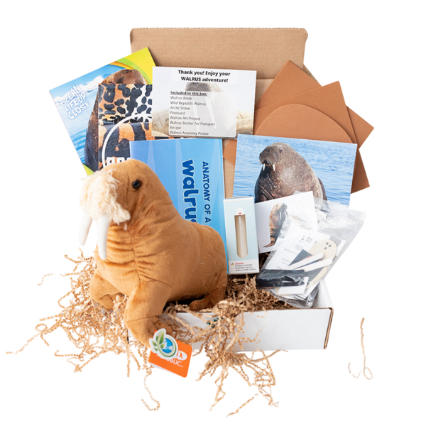 Walrus EDventure