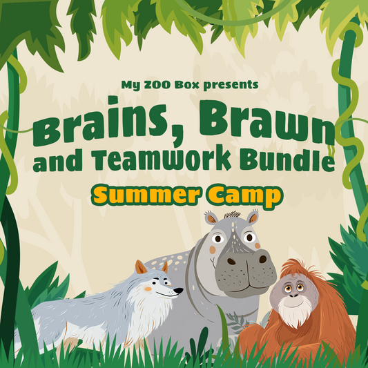 Brains, Brawn and Teamwork Bundle