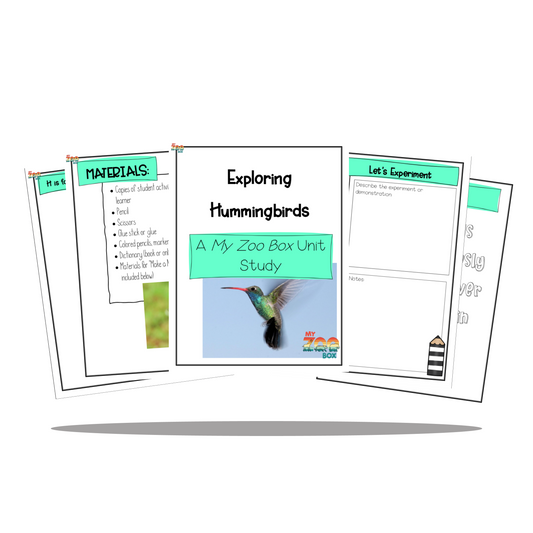 Hummingbird Digital Unit Study