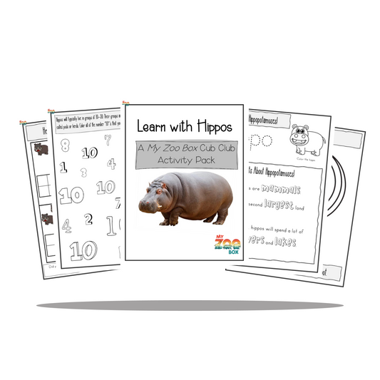 Preschool Hippopotamus Digital Unit Study