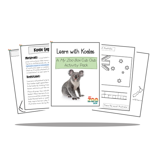 Preschool Koala Digital Unit Study