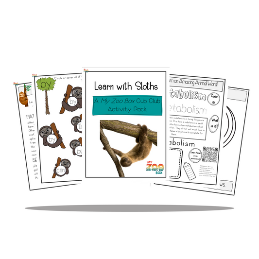 Sloth Digital Unit Study