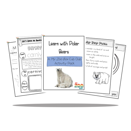 Polar Bear Digital Unit Study