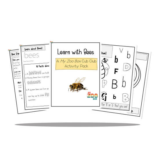 Bee Digital Unit Study
