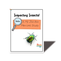 Beetles Digital Unit Study