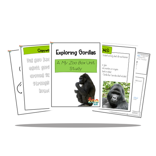 Gorilla Digital Unit Study