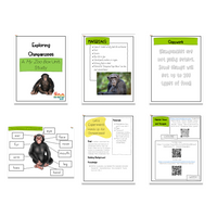 Chimpanzee Digital Unit Study