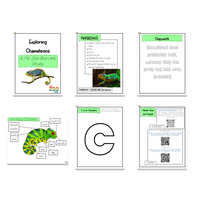 Chameleon Digital Unit Study