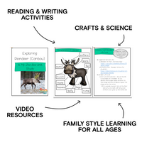 Reindeer Digital Unit Study