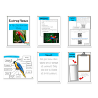 Macaw Digital Unit Study