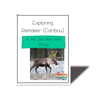 Raindeer Digital Unit Study