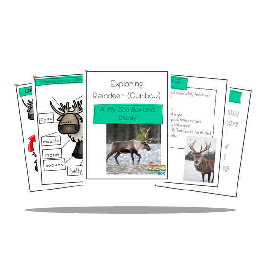 Reindeer Digital Unit Study