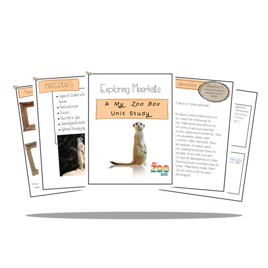 Meerkat Digital Unit Study