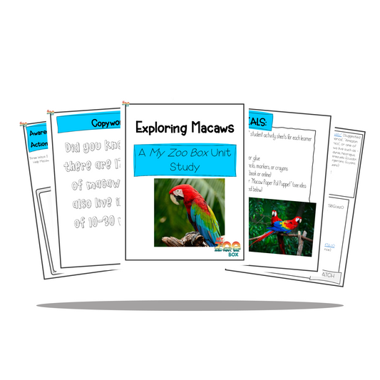 Macaw Digital Unit Study