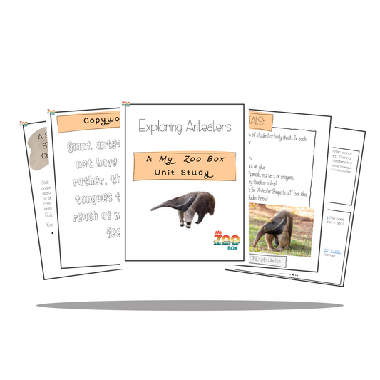 Anteater Digital Unit Study