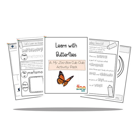 Butterfly Digital Unit Study