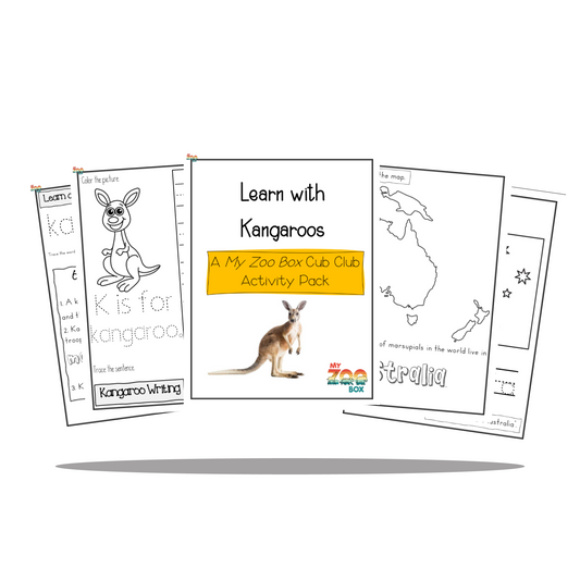 Kangaroo Digital Unit Study