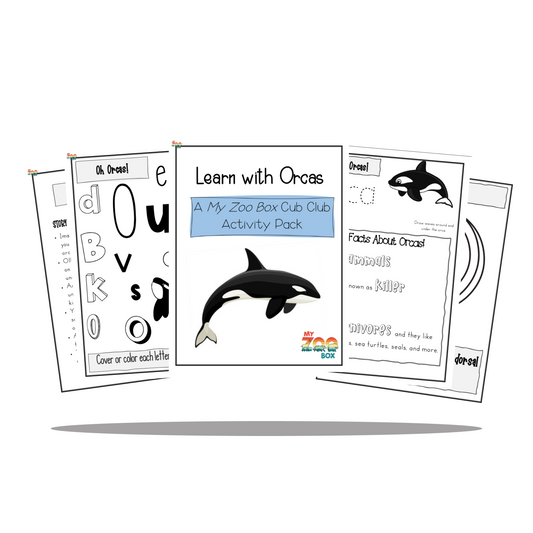 Orca Digital Unit Study