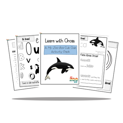 Orca Digital Unit Study