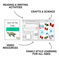 Sea Turtle Digital Unit Study