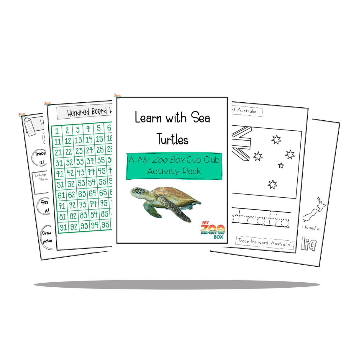 Sea Turtle Digital Unit Study
