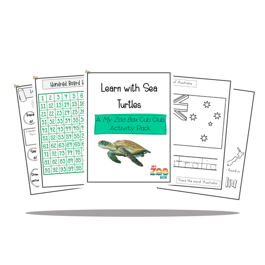 Sea Turtle Digital Unit Study
