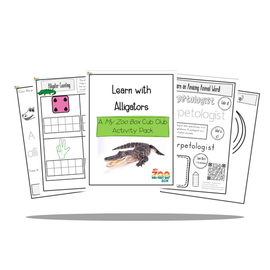 Preschool Alligator Digital Unit Study