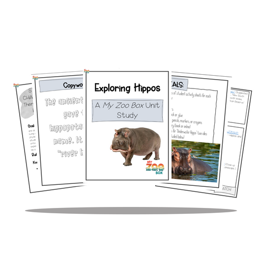 Elementary Hippopotamus Digital Unit Study