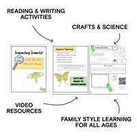 Luna Moth Digital Unit Study