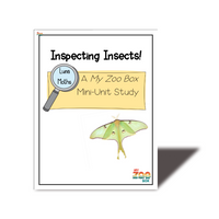 Luna Moth Digital Unit Study