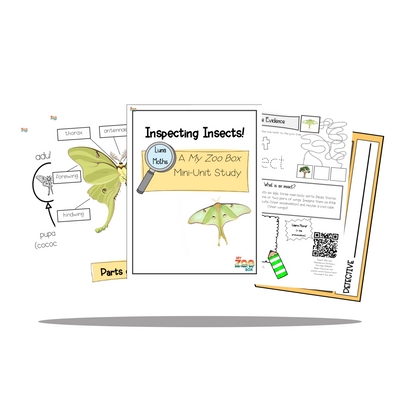 Luna Moth Digital Unit Study