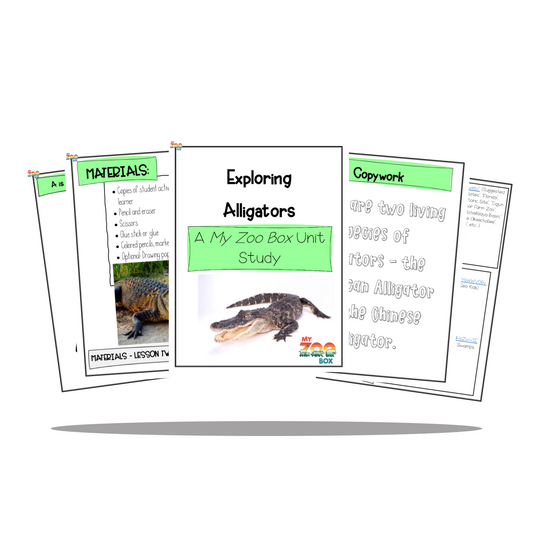 Elementary Alligator Digital Unit Study