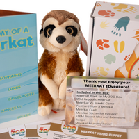 Meerkat EDventure