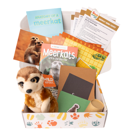 Meerkat EDventure
