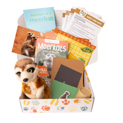 Meerkat EDventure