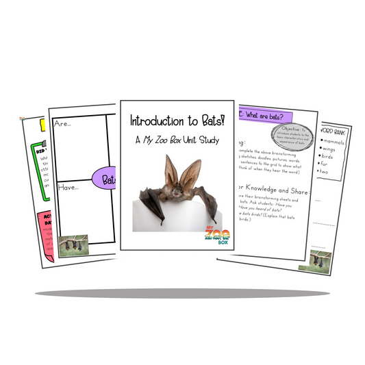 Elementary Bat Digital Unit Study
