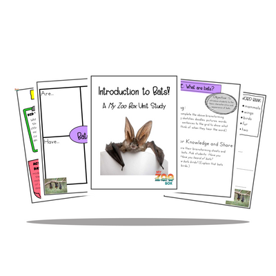 Elementary Bat Digital Unit Study