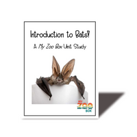 Elementary Bat Digital Unit Study