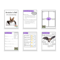 Elementary Bat Digital Unit Study