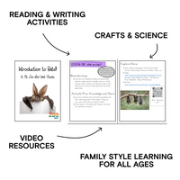 Elementary Bat Digital Unit Study