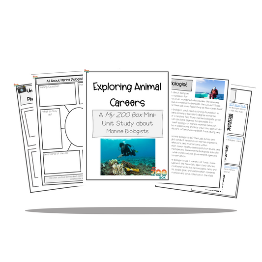 Exploring Animal Careers - Marine Biologists Digital Unit Study
