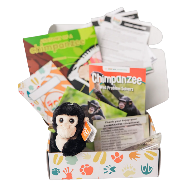 Chimpanzee EDventure