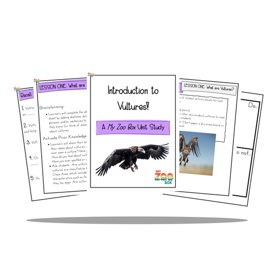 Vultures Digital Unit Study