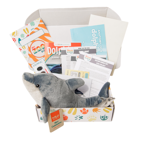 Dolphin EDventure