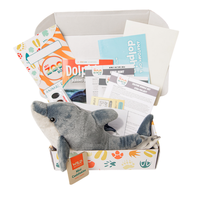 Dolphin EDventure